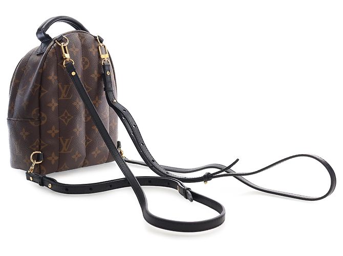 Louis Vuitton Marrón Monogram Mini Palm Springs Castaño - vista 2