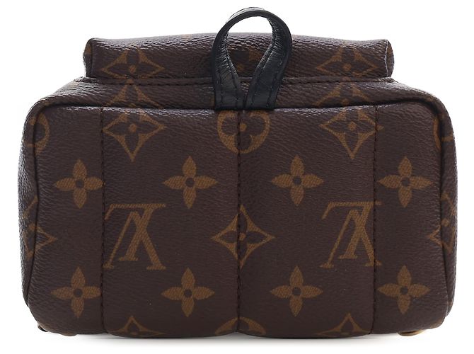 Louis Vuitton Marrón Monogram Mini Palm Springs Castaño - vista 3