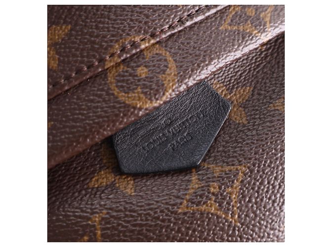 Louis Vuitton Marrón Monogram Mini Palm Springs Castaño - vista 4