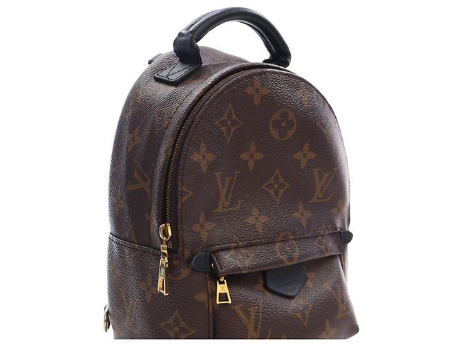 Louis Vuitton Marrón Monogram Mini Palm Springs Castaño - vista 7