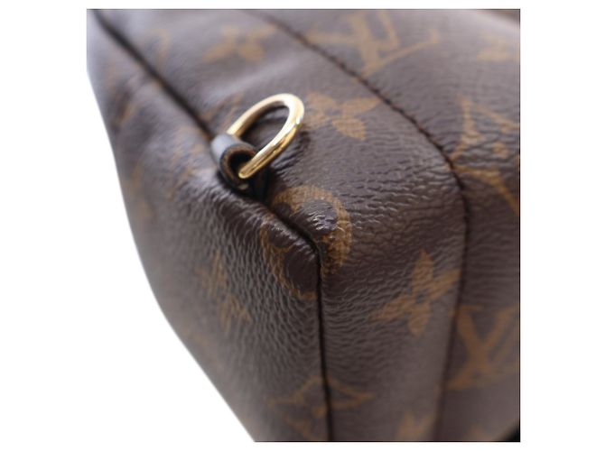 Louis Vuitton Marrón Monogram Mini Palm Springs Castaño - vista 8