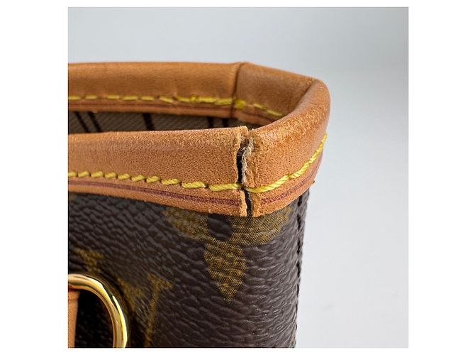 Borsa Tote Louis Vuitton Neverfull PM Marrone - vista 5