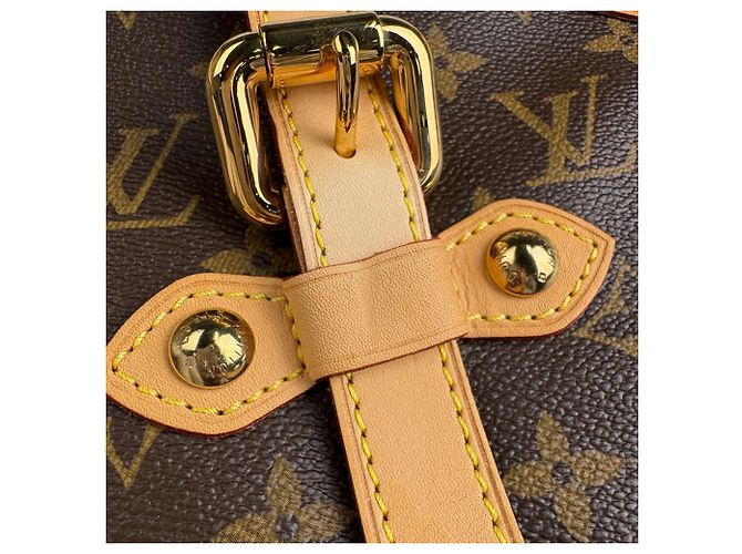 Borsa Tote 2-Way Louis Vuitton Palermo GM Marrone - vista 4