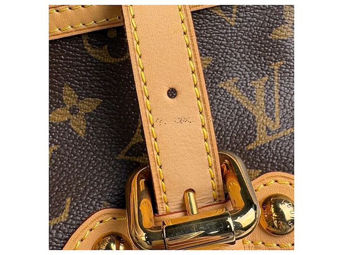 Borsa Tote 2-Way Louis Vuitton Palermo GM Marrone - vista 5
