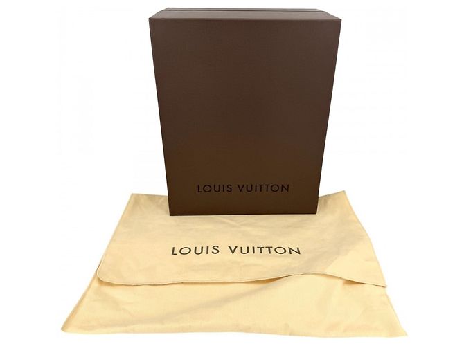 Borsa Tote Louis Vuitton Hampstead PM Marrone - vista 10