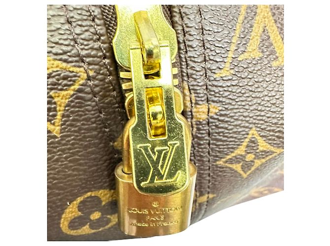 Louis Vuitton Monogram Sirius 55 Koffer aus braunem Canvas Python drucken - Ansicht 6