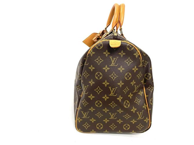 Borsa Boston Louis Vuitton Keepall 50 Marrone - vista 2
