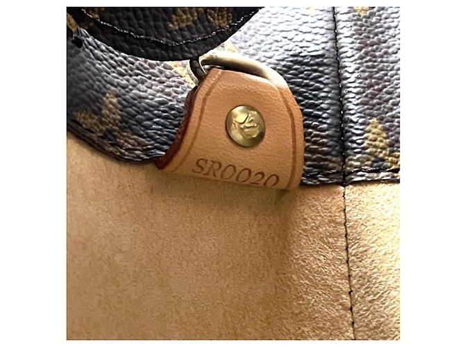 Borsa Tote Louis Vuitton Luco Marrone - vista 10
