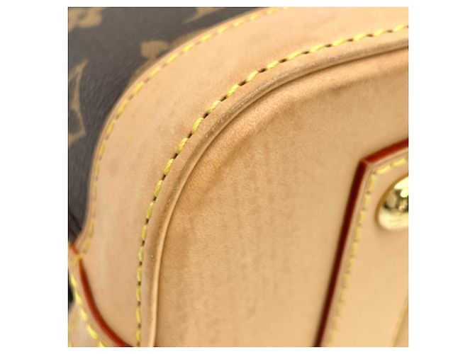 Borsa Louis Vuitton Alma BB Marrone - vista 6
