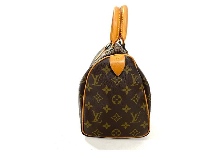 Borsa Boston Louis Vuitton Speedy 25 Marrone - vista 2