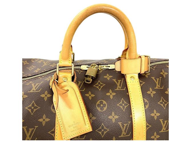 Bolso Boston Louis Vuitton Keepall 50 Castaño - vista 4
