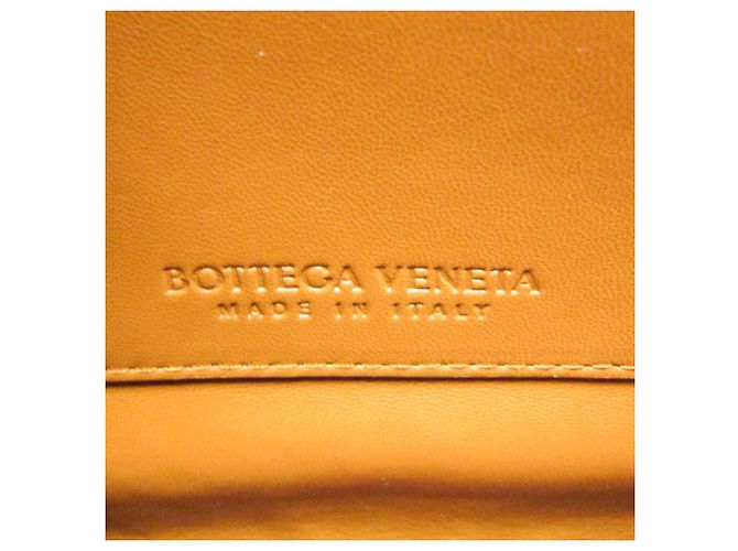 Bottega Veneta Mount Leather Small Arancione - vista 4