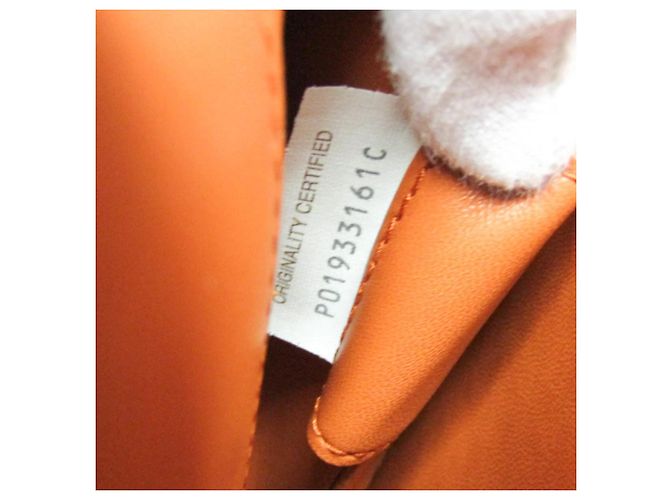 Bottega Veneta Mount Leather Small Arancione - vista 5