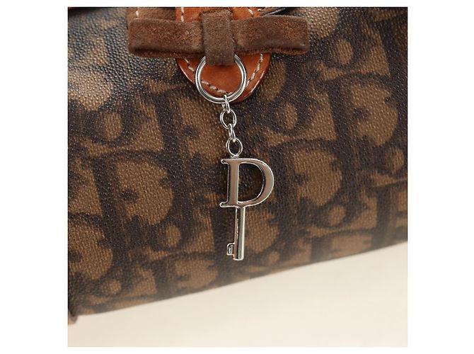 Borsa Christian Dior Trotter Canvas Romantic PVC Marrone Argento Auth 189127M - vista 15