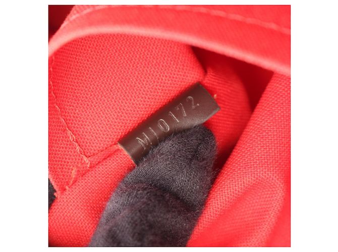 Borsa a Spalla Louis Vuitton Thames GM Damier Ebene Marrone - vista 5
