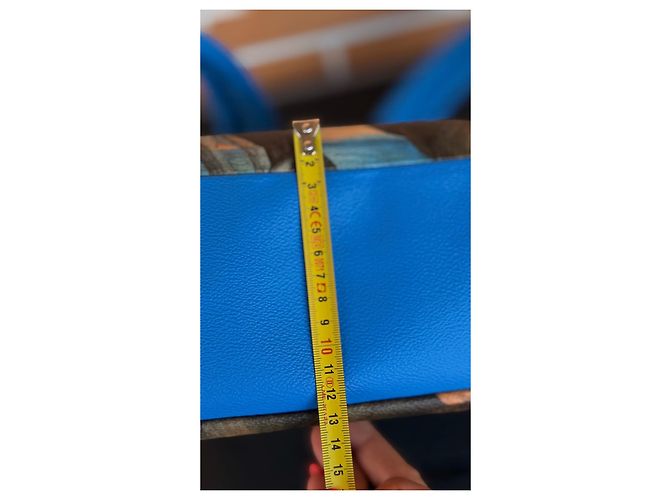 Louis Vuitton x Jeff Koons Masters Collection Zaino The Tiger Hunt Blu Multicolore - vista 7