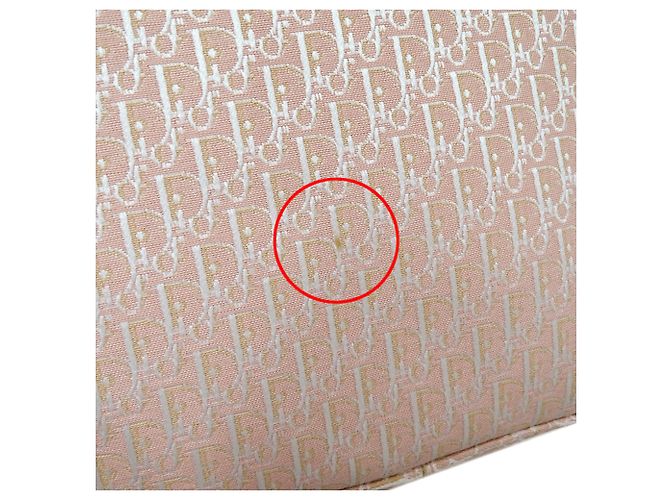 Borsa Christian Dior Trotter Canvas Rosa Bianco - vista 10