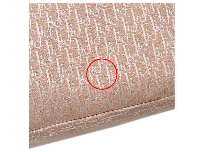 Borsa Christian Dior Trotter Canvas Rosa Bianco - vista 12