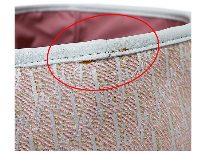 Borsa Christian Dior Trotter Canvas Rosa Bianco - vista 8