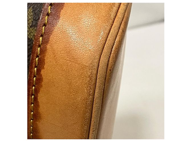 Borsa Louis Vuitton Alma PM Marrone - vista 6
