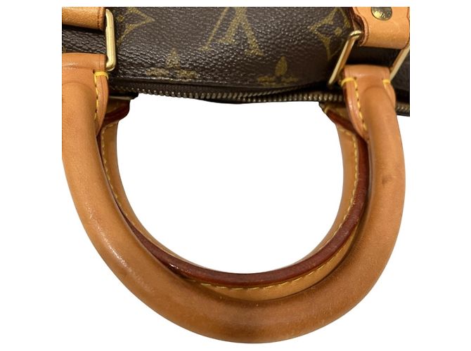 Borsa Louis Vuitton Alma PM Marrone - vista 7
