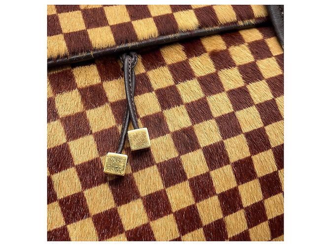 Borsa Louis Vuitton Damier Sauvage Haircalf Lion Rosso - vista 10