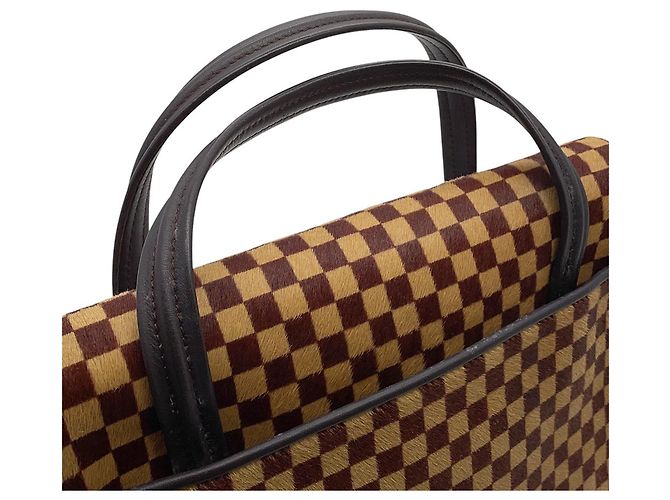 Borsa Louis Vuitton Damier Sauvage Haircalf Lion Rosso - vista 13