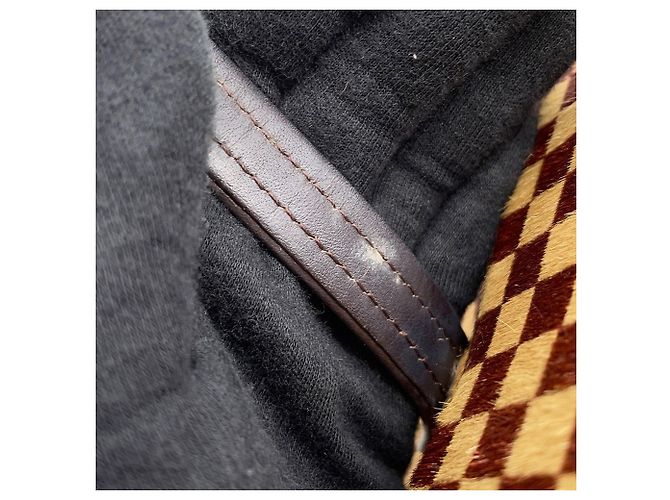 Borsa Louis Vuitton Damier Sauvage Haircalf Lion Rosso - vista 14