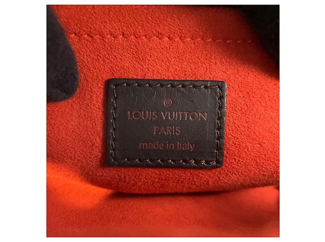 Borsa Louis Vuitton Damier Sauvage Haircalf Lion Rosso - vista 16