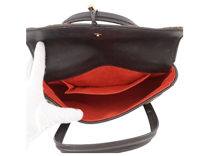 Borsa Louis Vuitton Damier Sauvage Haircalf Lion Rosso - vista 5
