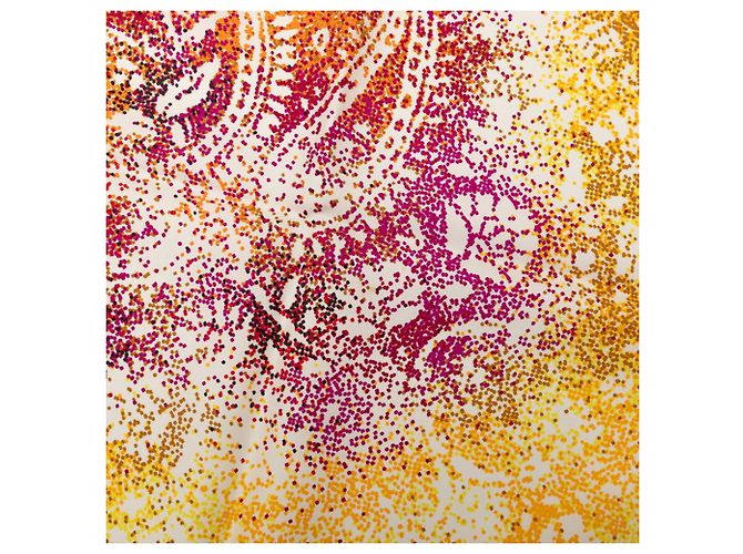 Hermès Foulard Carré 90 Hermes Indian Dust Multicolore Beige - vista 5