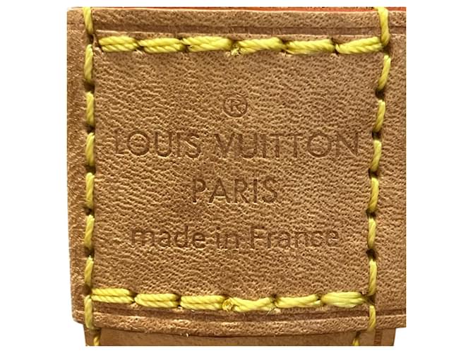 Borsa Louis Vuitton Alma Monogram Marrone - vista 4