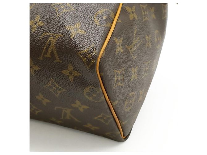 Borsa Louis Vuitton Speedy 25 Monogram Marrone - vista 3