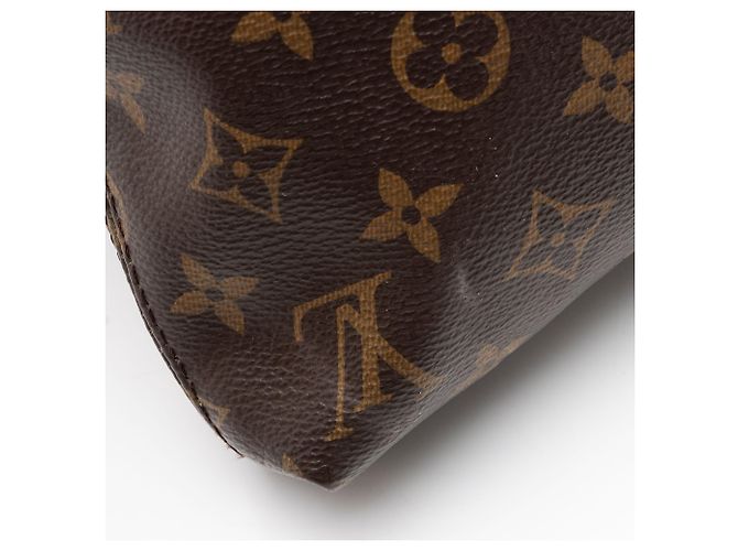 Carry It Tote aus Monogram Canvas Louis Vuitton Braun - Ansicht 9