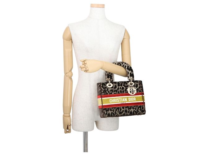 Borsa Christian Dior Lady D-Lite Medium in velluto Marrone Multicolore D'oro - vista 4