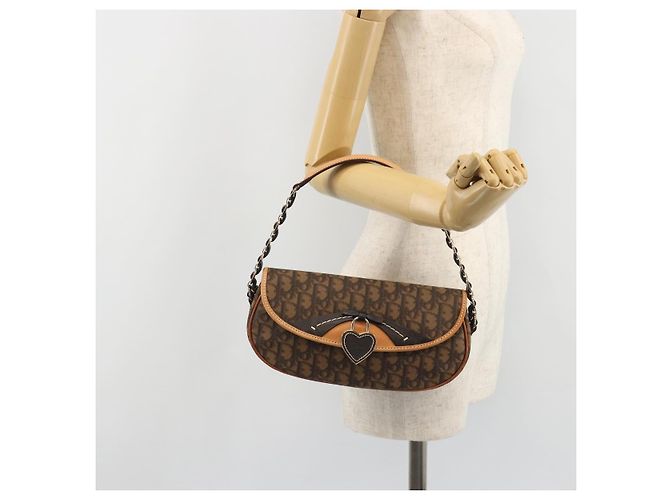 Borsa a tracolla Romantic in tela Trotter Christian Dior PVC Marrone Argento Auth 189117SM - vista 23
