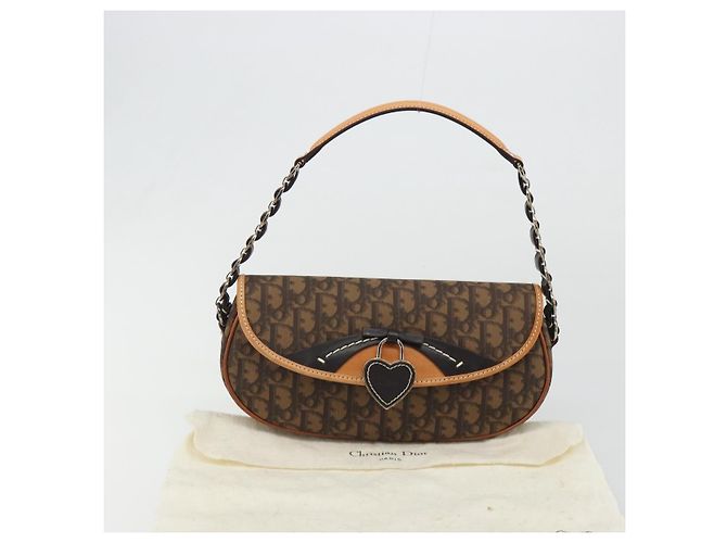 Borsa a tracolla Romantic in tela Trotter Christian Dior PVC Marrone Argento Auth 189117SM - vista 24