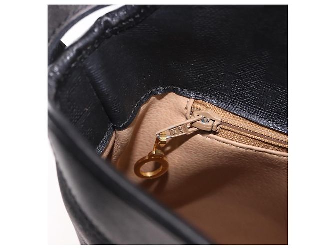 Borsa a tracolla Christian Dior Trotter PVC Nero Oro Auth bs35923 D'oro - vista 23
