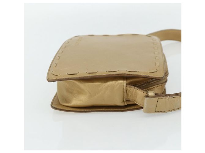 Bottega Veneta Pelle Vintage D'oro - vista 4