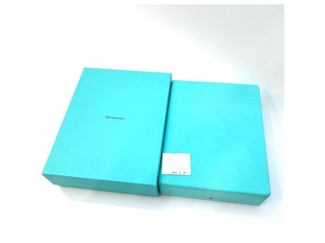Collana a maglie Forge Medium di Tiffany & Co. Argento - vista 8