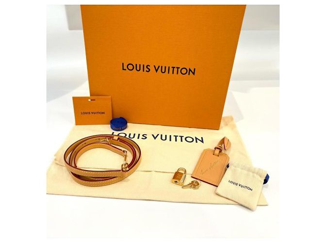Borsa Louis Vuitton Monogram Origin Alma BB Marrone Blu - vista 6