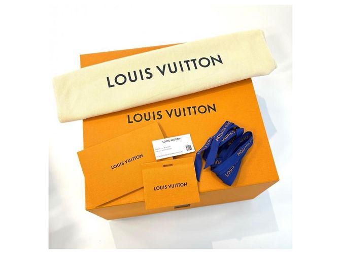 Borsa a Spalla Louis Vuitton Diane Bicolor Empreinte Beige Grigio Crudo - vista 9