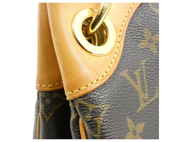 Borsa a Spalla Louis Vuitton Monogram Galliera PM Marrone - vista 6