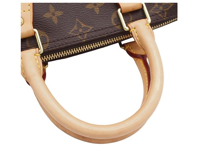 Louis Vuitton Marrone Monogram Speedy 25 - vista 6