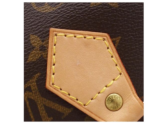 Louis Vuitton Marrone Monogram Speedy 25 - vista 8