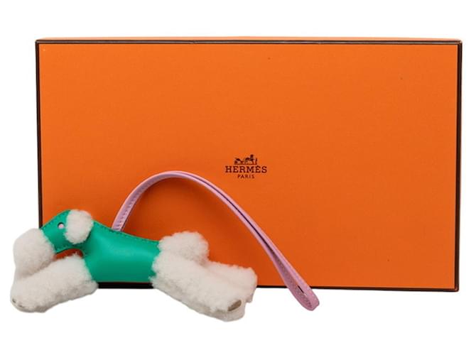 Hermès Accessorio Borsa Charm Buddy Hermes Verde chiaro - vista 5