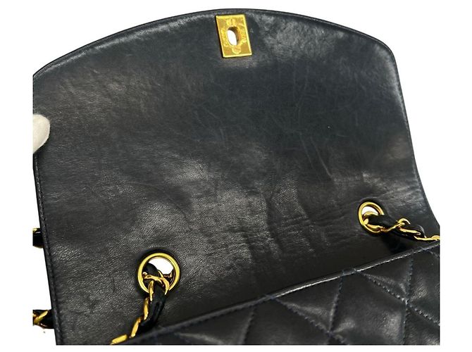 Borsa a tracolla Chanel Diana 22 Single Flap Nero - vista 19