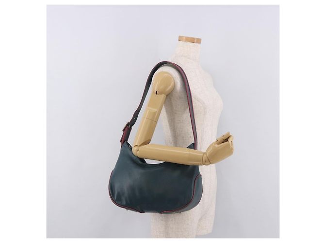 Borsa a Spalla LOEWE in Pelle Verde Argento Auth 187866A - vista 23