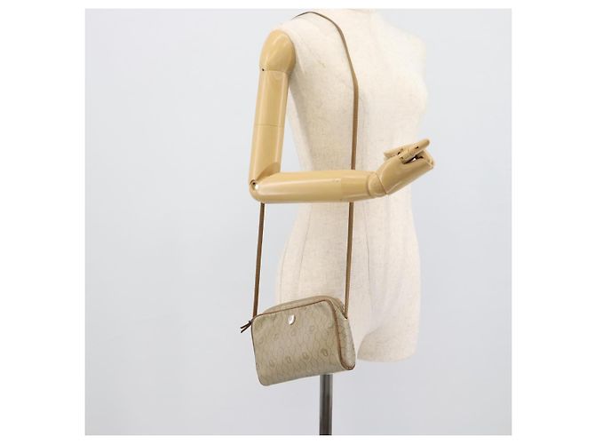 Borsa a tracolla Christian Dior Honeycomb Canvas PVC Beige Oro Auth ep14966 D'oro - vista 19