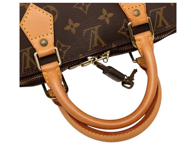 Bolso Louis Vuitton Monogram Alma PM Castaño - vista 8